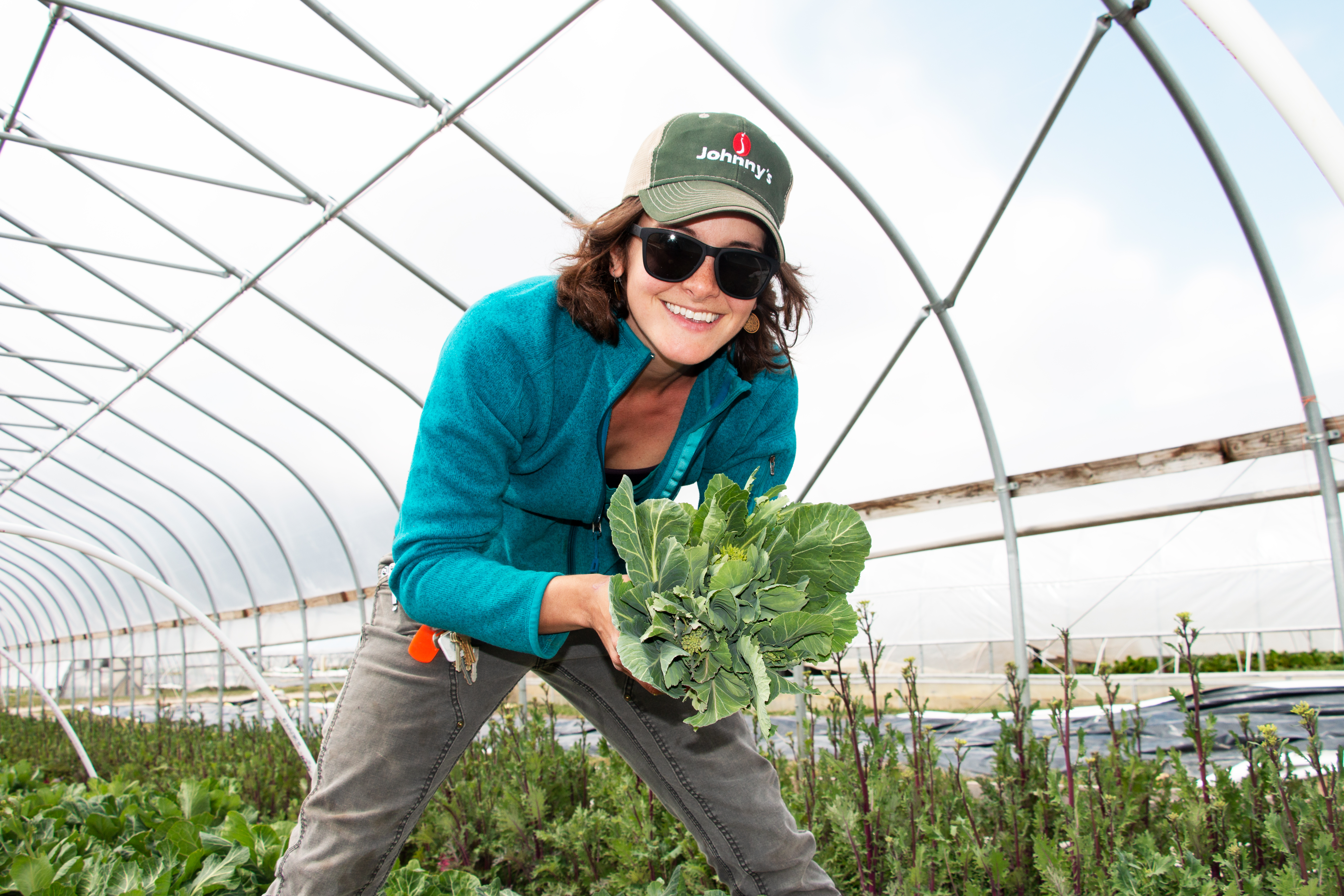 Image of Farm Production Manager, Sarah G. picking vegetables in a greenhouse.