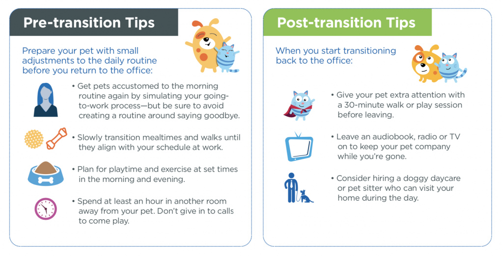 Graphic of Pre-transition tips that says, "Prepare your pet with small adjustments to the daily routine before you return to the office: -Get pets accustomed to the morning routine again by simulating your going-to-work process, but be sure to avoid creating a routine around saying goodbye.
-Slowly transition mealtimes and walks until they align with your schedule at work.
-Plan for playtime and exercise at set times in the morning and evening
-Spend at least an hour in another room away from your pet. Don't give in to calls to come play."
To the right of this Pre-transition tips graphic, there is a Post-transition tips graphic that says, "When you start transitioning back to the office: -Give your pet extra attention with a 30-minute walk or play session before leaving.
-Leave an audiobook, radio or TV on to keep your pet company while you're gone.
-Consider hiring a doggy daycare or pet sitter who can visit your home during the day."
